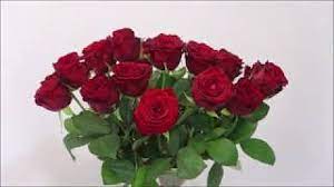 How To Make Roses Last Longer - Youtube