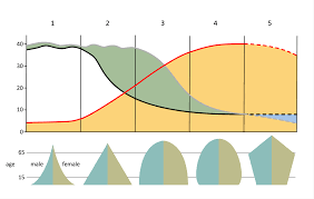 The relative length of the horizontal bars shows if there are more females than males, or viceversa, within each age group. Population Changes In South Korea Internet Geography