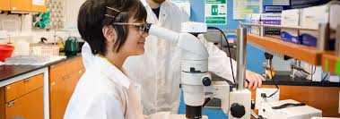 (STEM) B.A. Biology (Education)