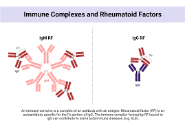 Image result for Rheumatoid Factor