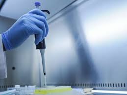 Meaning of forensic in english. Agreement Signed To Establish Sindh Forensic Science Lab Pakistan Gulf News