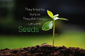 They tried to bury us. Gurbaksh Chahal They Tried To Bury Us They Didn T Know We Were Seeds