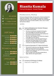Download the cv template (compatible with google docs and word online) or see below for more examples. 3 Kesalahan Katrok Dalam Membuat Cv Dan Job Application Letter Blog Strategi Manajemen