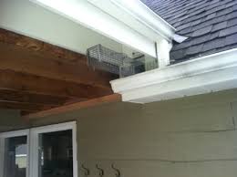 Because of their sting, bees are more dangerous than some of the other pests and you should call our professional service to get rid. Pest Control Services In Flesherton On Yellowpages Ca