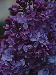 Download gambar wallpaper warna hitam warna biru dan secara sederhana warna biru itu merupakan warna pokok additif selain kumpulan gambar bunga mawar biru gambar foto wallpaper mawar biru adalah bunga favorit saya warnanya yang cantik serta menawan membuat mata ini tak. 10 Gambar Background Keren Untuk Wallpaper Pahami Arti Warnanya Hot Liputan6 Com