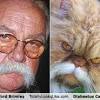 How to tell if your cat has diabetes. Https Encrypted Tbn0 Gstatic Com Images Q Tbn And9gcslhkkc Hi0dqhgwe70jdinh98spvwbfblwoknfzzu Usqp Cau