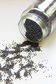 Basil is an annual, or sometimes perennial, herb used for its leaves. Sabja Seeds Basil Seeds Or Falooda Seeds Or Tukmaria