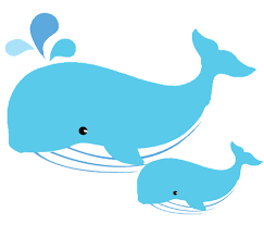 Mom And Baby Whale Clipart Baby Whale Whale Baby Dolphins