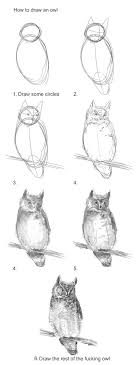 Pin By Nicole Tony Baker On If I Were To Get A Tattoo Owls Drawing Animal Sketches Bird Drawings