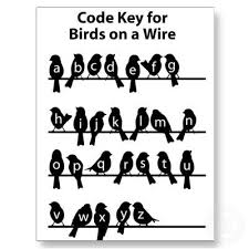 Bird On A Wire Meaning Code Key Birds On A Wire Postcard Zazzle Com In 2020 Bird Line Drawing Birds Bird Drawings