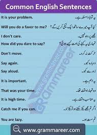 English To Urdu Sentences Pdf Spoken English Course In Urdu Basic English Through Urdu Learn English Words Basic English Sentences English Phrases Sentences
