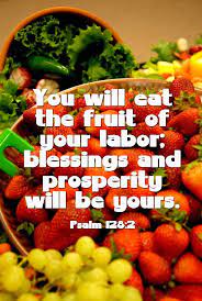 So as you read these bible verses, i encourage you to keep proclaiming your fruitfulness in christ jesus. Pin On Bible Verses