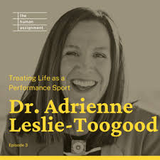 Bold Leadership with Dave Angus by The Human Assignment