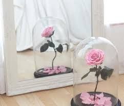 Entrez dans le château du film la belle et la bête et découvrez un univers resplendissant et enchanté grâce aux gammes darticles disponibles sur shopdisney. Grande Cloche Verre 20 Cm Rose Naturelle Eternelle