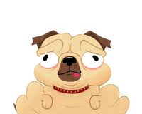 Maybe you would like to learn more about one of these? Little Fat Dog Gifs Get The Best Gif On Giphy