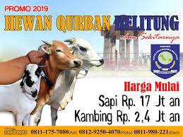 Pihak ikhwan services menerima tempahan untuk melakukan aqiqah disepanjang tahun 2014. Promo Jual Kambing Dan Sapi Kurban Nusantara 2019 Wilayah Bangka Belitung Murah Sapibagus Com