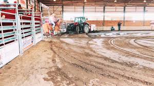 Miss her🩷 #aimy #rollemhome #barrelracing