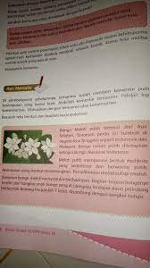Tulislah Kesimpulan Pada Tempat Yang Disediakan Brainly Co Id