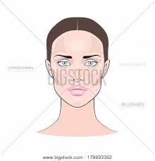 Face Chart Strobing Vector Photo Free Trial Bigstock