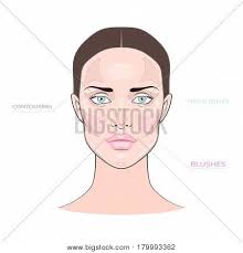 face chart strobing vector photo free trial bigstock