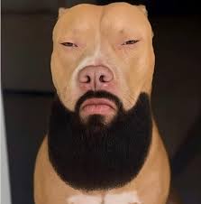 Happy Memorial Day is the greeting?!', my neighbor asked me, visibly  confused. It took me a second to compose myself and understand what she  meant. Apparently, she was watching American television where