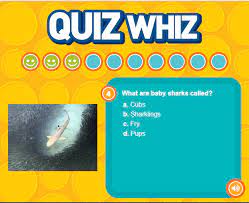 The more questions you get correct here, the more random knowledge you have is your brain big enough to g. Shark Quiz Wowscience Science Games And Activities For Kids