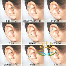 Directory Of The Most Common Ear Piercings Piercing Daith Rook Tr Cool Ear Piercings Ear Piercings Daith Piercing
