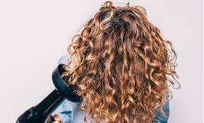 Air Drying Vs Diffusing In 2020 Hair Diffuser Dry Curls Diffuser Curls