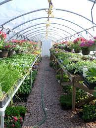 Maybe you would like to learn more about one of these? Flowers More Home Facebook