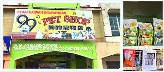 The pet cafe is home to some 15 resident dogs with breeds ranging from siberian huskies to alaskan malamutes. 99 Pet Shop Real Nature Malaysia å¤©ç„¶å¹³è¡¡ç‹—ç²® ç—žå®¢é‚¦