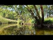 Dębki - spływ kajakowy - przeźroczyste kajaki [Vlog #40] - YouTube
