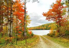Fall Colors Are In Full Swing At Moosehorn National Wildlife Refuge The Refuge Located In Southea National Wildlife Refuge Places To Visit Beautiful Sights