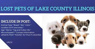Feeling lost without your pet. Lost Pets Of Lake County Illinois Facebook
