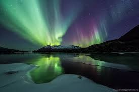 Euphoria Northern Lights Aurora Borealis See The Northern Lights