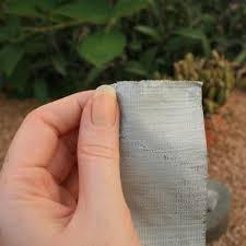 Leave it in forever, or take it out. Remove Cactus Thorns With Ease Instructables