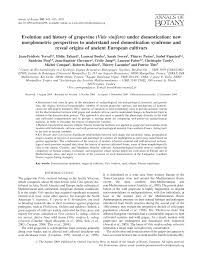 Pdf Evolution And History Of Grapevine Vitis Vinifera Under Domestication New Morphometric Perspectives To Understand Seed Domestication Syndrome And Reveal Origins Of Ancient European Cultivars