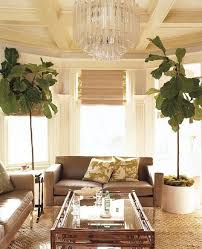 Nach Feng Shui Wohnzimmer Einrichten Kronleuchter Couch Pflanzen Fenster Kissen Feng Shui Wohnzimmer Wohnzimmer Einrichten Haus
