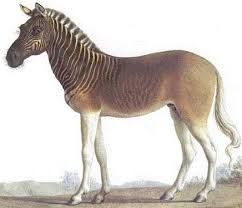 Sejarah tingkatan 1 kssm zaman air batu. Sains Tahun 4 5 6 Kepupusan Haiwan