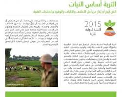 Image of تأثير التربة على الغطاء النباتي