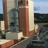 Imagen de la noticia para celulosa Arauco de BioBioChile