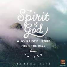 Excerpted from sacred space for lent 2009 by. Pin On Amazing Grace