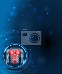These abdominal muscles are at the sides of your waist and are responsible for side bending and rotation. Muscles Of The Human Body Torso And Arms Beautiful Colorful Leinwandbilder Bilder Vorlage Broschure Passen Myloview De