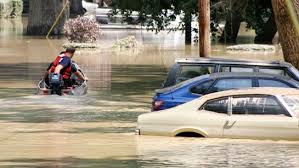 Using unauthorized vehicle without license. India Insurance Surveyors Propose Guidelines For Handling Kerala Motor Claims