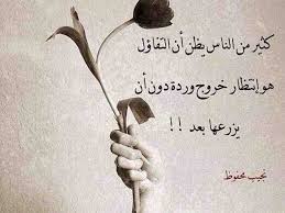 خلفيات حكم و أقوال فيسبوك كثيرون يظنون التفاؤل هو إنتظار وردة لم يزرعوها بعد arabic quotes words quotes quotes