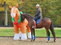 Handling & Obstacle Course Clinic with Sara Vanecek