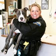 Baltimore police officer adopts dog she found in vacant home while ...
