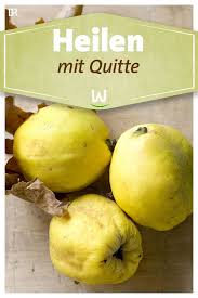 Krauter Heilen Mit Quitte Br De Quitte Quitten Quitten Rezepte