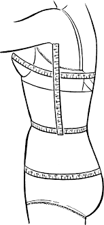 Wrap a tape measure around the fullest part of your bust. Bust Waist Hip Measurements Wikipedia