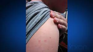 The agents of empire do not always arrive with warning. Bastrop Student Says Teacher Shocked Him With Stun Gun School Denies