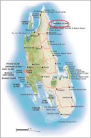 Image result for Urochloa leersioides